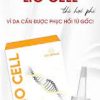 serum dưỡng ẩm, phục hồi da, làm dịu da